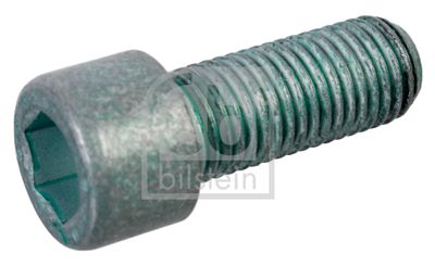 Piedziņas skriemeļa skrūve FEBI BILSTEIN 01202
