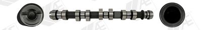 Sadales vārpsta AE CAM1022