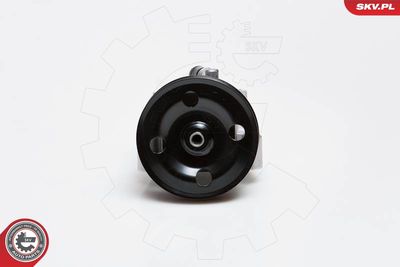 Hidrosūknis, Stūres iekārta ESEN SKV 10SKV091