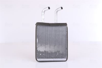 Siltummainis, Salona apsilde NISSENS 77511