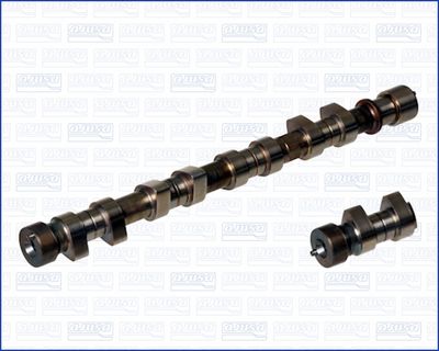 Sadales vārpsta AJUSA 93037400