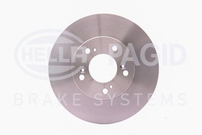 Bremžu diski HELLA PAGID 8DD 355 107-131