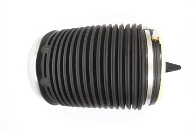 Pneimoatspere, Balstiekārta MONROE ASP019