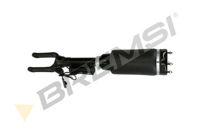 Pneimoatsperes statnis BREMSI SA2054