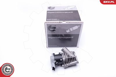 Клапан возврата ОГ ESEN SKV 14SKV173