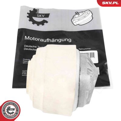 Piekare, Dzinējs ESEN SKV 75SKV006