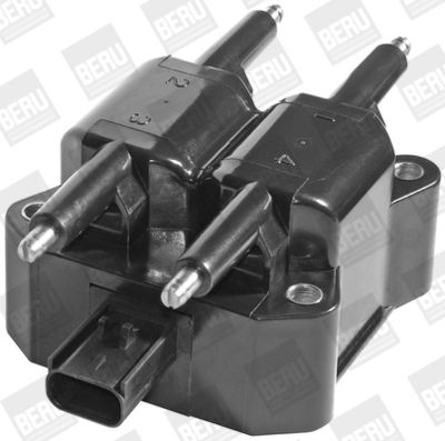 Катушка зажигания BorgWarner (BERU) ZS379