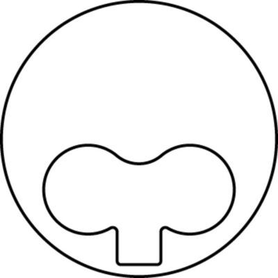 Поршень MAHLE 009 38 01