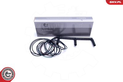 Vadu remkomplekts, Kvēlsvece ESEN SKV 53SKV017