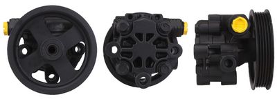 Hidrosūknis, Stūres iekārta DRI 715520165