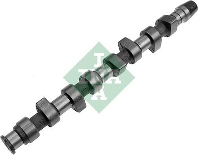 Распредвал Schaeffler INA 428 0063 10