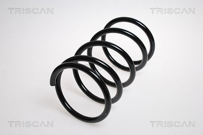 Balstiekārtas atspere TRISCAN 87 504 070