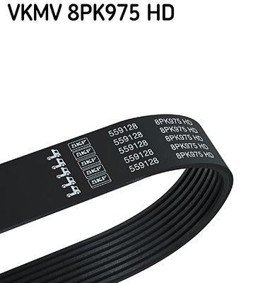Ķīļrievu siksna SKF VKMV 8PK975 HD