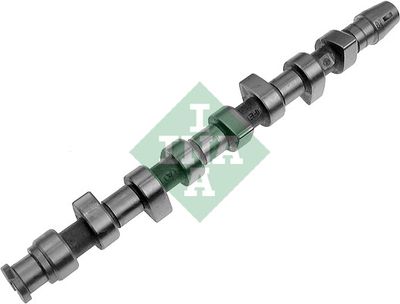 Распредвал Schaeffler INA 428 0062 10