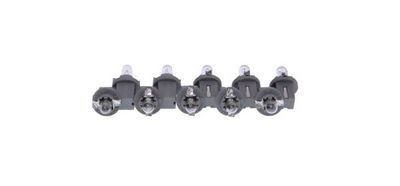 Kvēlspuldze, Salona telpas apgaismojums MAXGEAR 78-0082SET