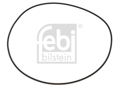 Blīvgredzens FEBI BILSTEIN 100256
