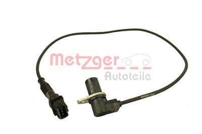  METZGER 0902330