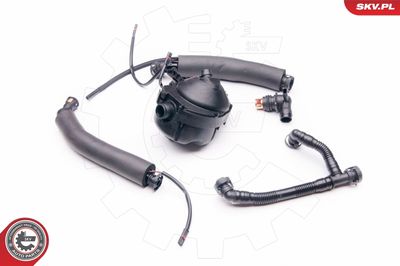 Ремонтный набор, вентиляция картера ESEN SKV 31SKV044