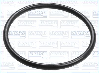 Blīve, Termostats AJUSA 16117100