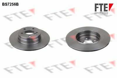 Тормозной диск FTE 9082253