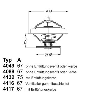 Termostats, Dzesēšanas šķidrums BorgWarner (Wahler) 4116.87D1