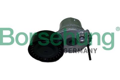 Siksnas spriegotājs, Ķīļsiksna Borsehung B12466