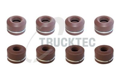 Blīvju komplekts, Vārsta kāts TRUCKTEC AUTOMOTIVE 02.43.006