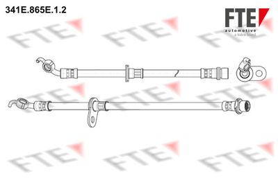 Тормозной шланг FTE 9240512