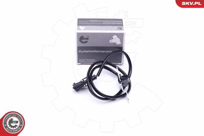 Devējs, Sadales vārpstas stāvoklis ESEN SKV 17SKV245