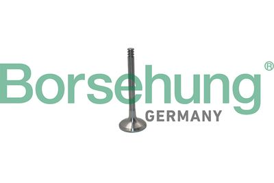 Выпускной клапан BORSEHUNG B19012