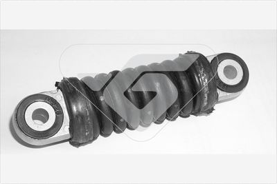 Demferis, Ķīļrievu siksna HUTCHINSON TS1403