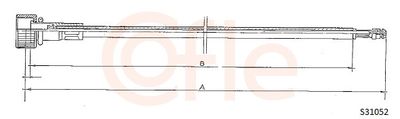 Spidometra trose COFLE 92.S31052