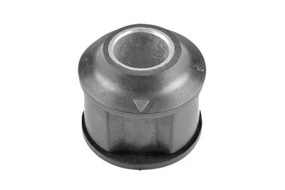 Piekare, Šķērssvira TEDGUM 00235925