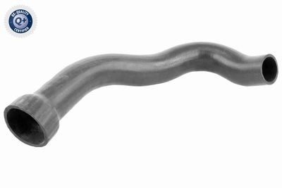 Pūtes sistēmas gaisa caurule VAICO V30-1794