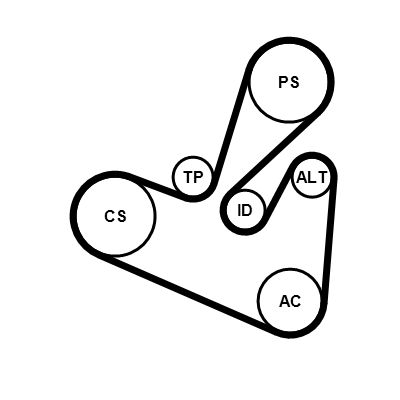  CONTINENTAL CTAM 6PK1705K1