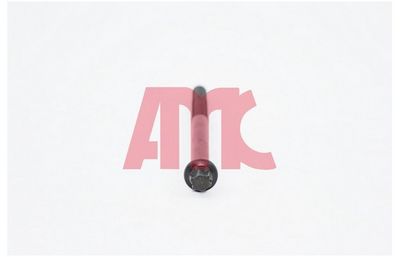 Комплект болтов головки цилидра AMC 258003