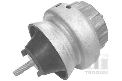 Подвеска, двигатель TEDGUM 00056451