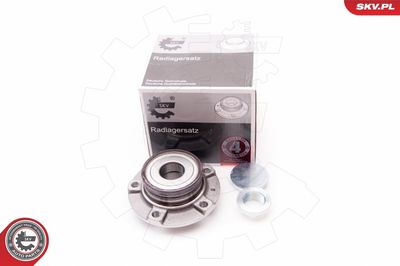 Комплект подшипника ступицы колеса ESEN SKV 29SKV070