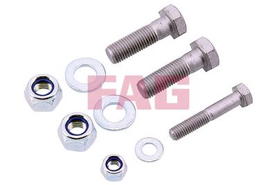 Montāžas komplekts, Balst-/Virzošais šarnīrs Schaeffler FAG 828 0004 30