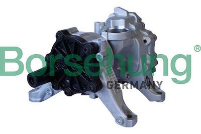 Масляный насос Borsehung B11903