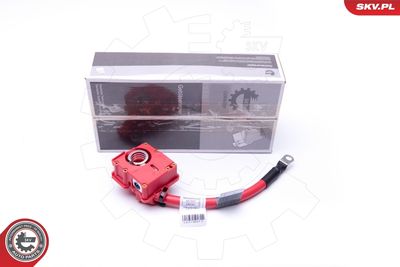 Akumulatoru baterijas adapteris ESEN SKV 96SKV309