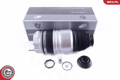 Pneimoatspere, Balstiekārta ESEN SKV 58SKV048