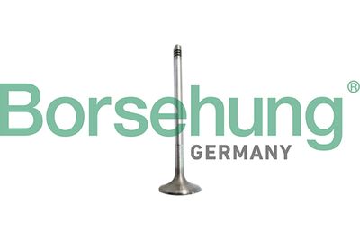 Впускной клапан BORSEHUNG B10327