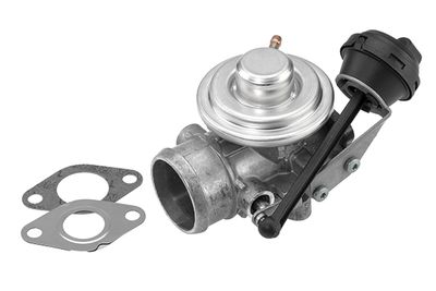 Izpl. gāzu recirkulācijas vārsts BorgWarner 7301D