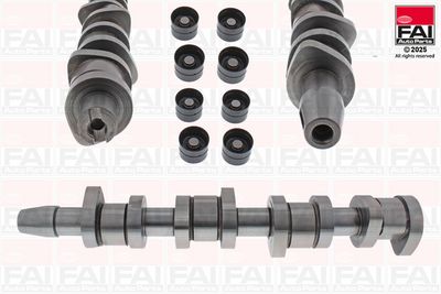 Комплект распредвала FAI AutoParts FCK312
