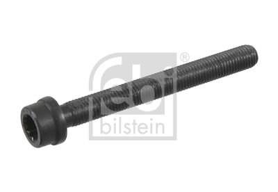 Болт головки цилиндра FEBI BILSTEIN 22030