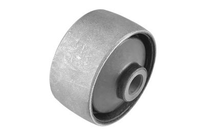 Piekare, Šķērssvira TEDGUM 00226008