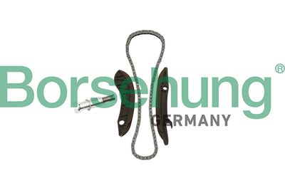 Комплект цели привода распредвала BORSEHUNG B18852