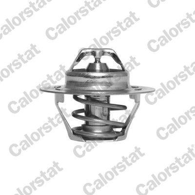 Termostats, Dzesēšanas šķidrums CALORSTAT by Vernet TH4168.89J