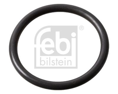 Blīve, Sprauslas korpuss FEBI BILSTEIN 183989